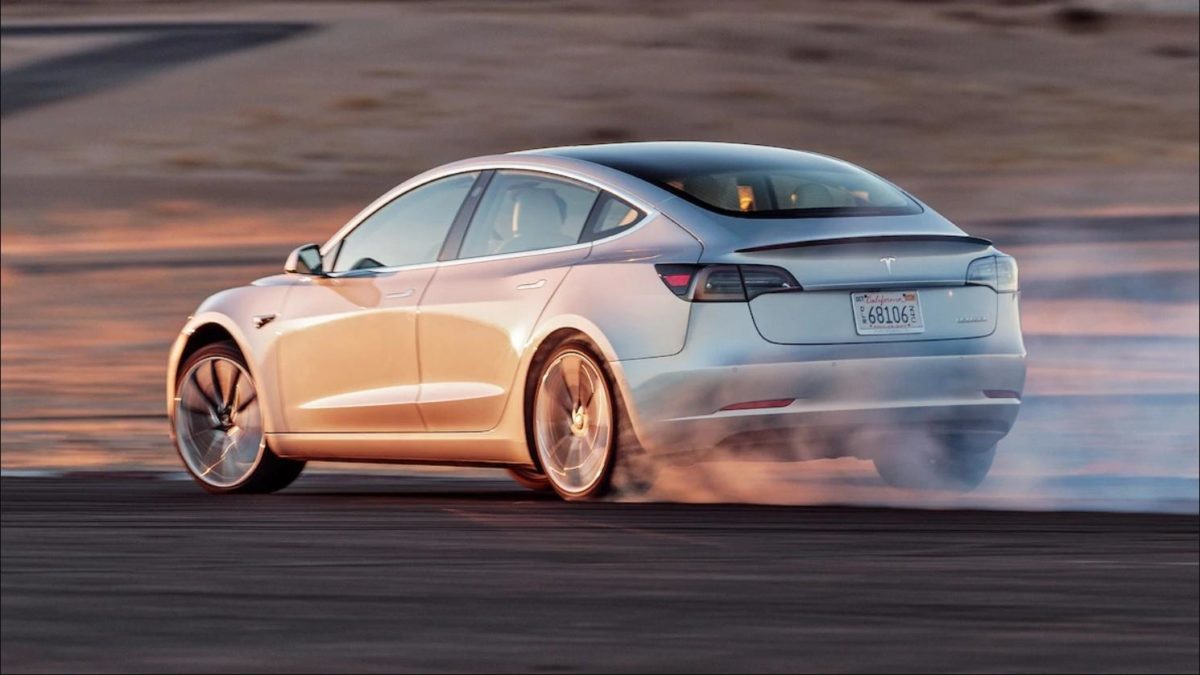 В США автопилот Tesla предотвратил наезд на семейство медведей