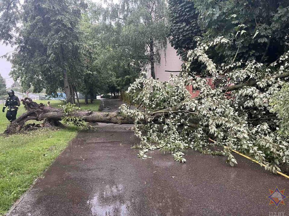 Новости бобруйска, фото