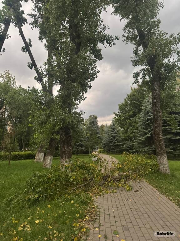 Новости бобруйска, фото