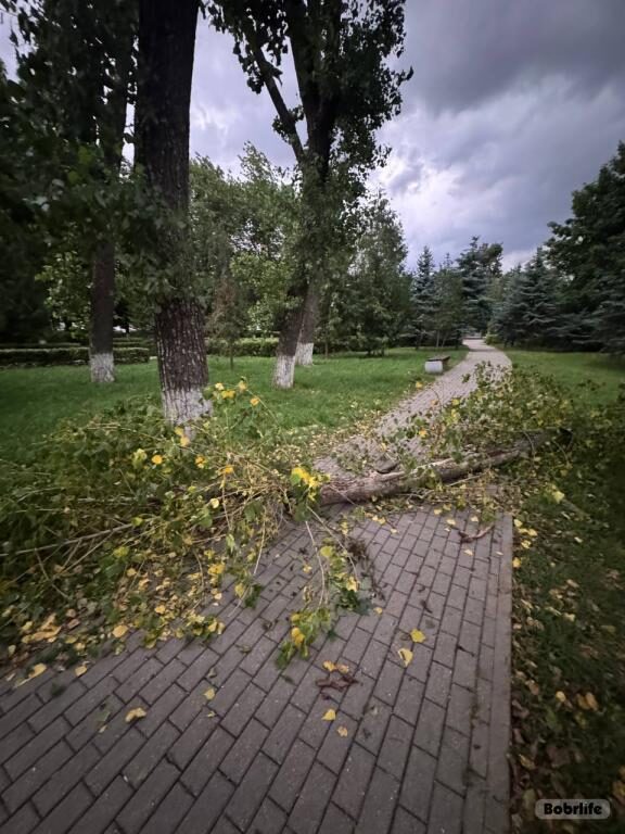 Новости бобруйска, фото