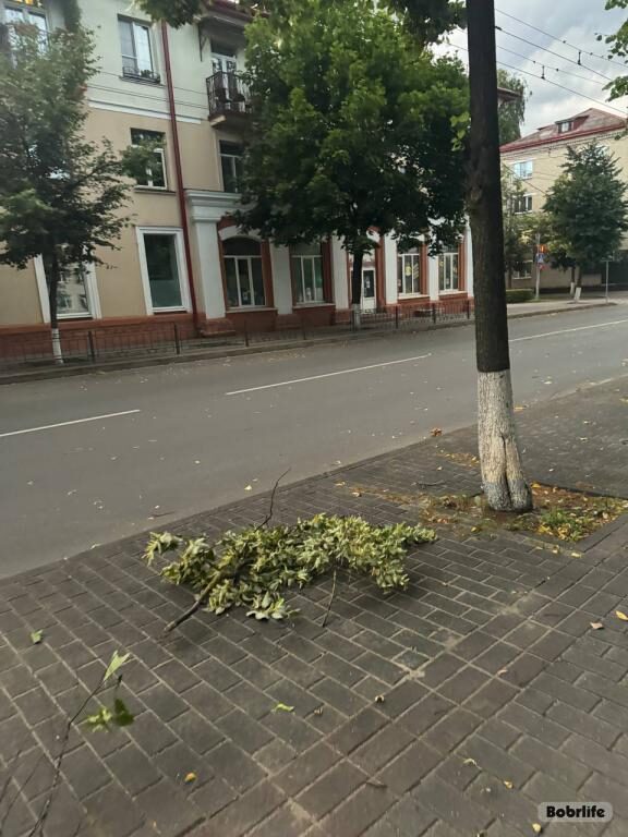Новости бобруйска, фото