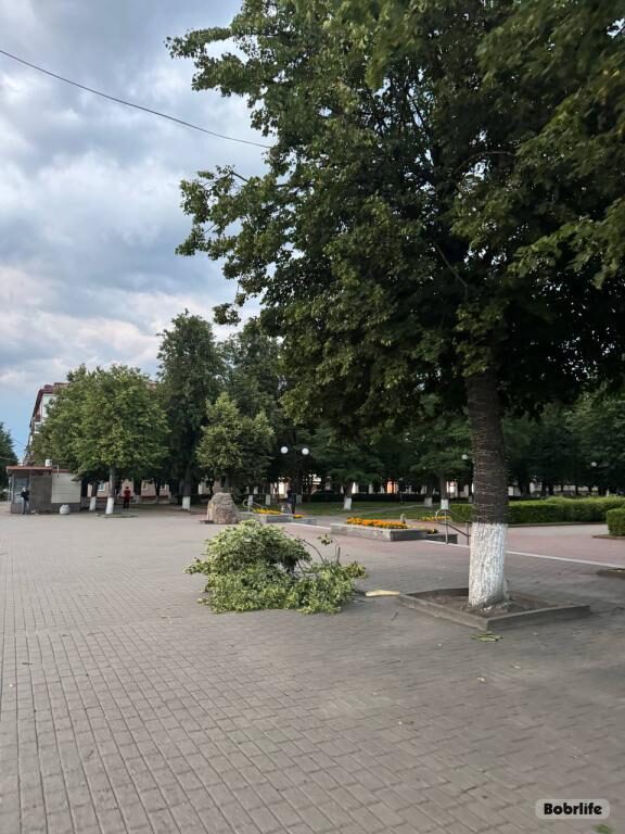 Новости бобруйска, фото