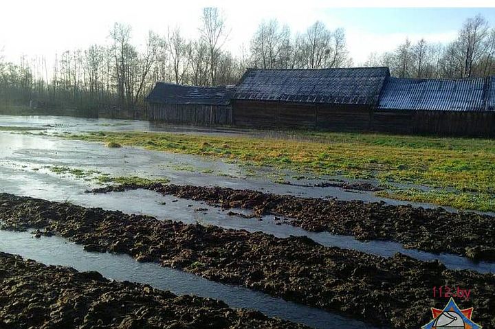 Паводок в январе: в Беларуси подтоплены подворья и дороги