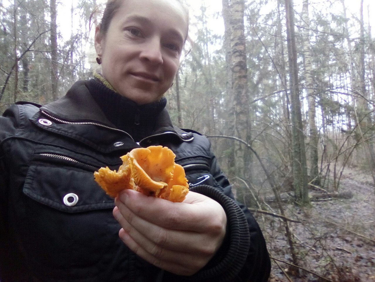 В белорусских лесах растут лисички в январе