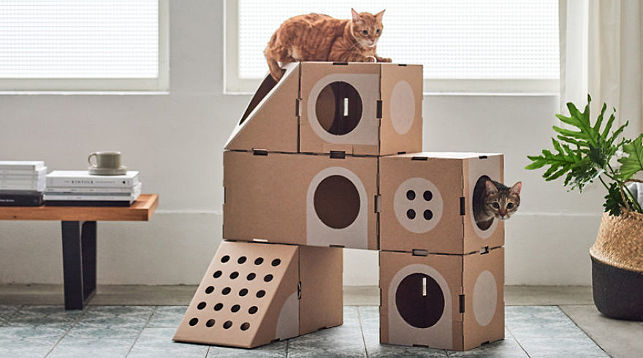Тайваньская компания создала картонные дома для котов