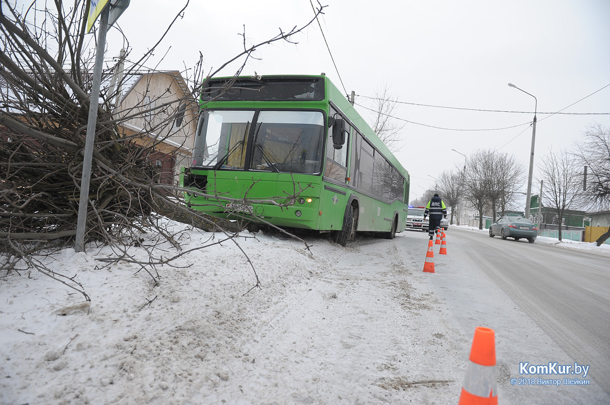 В Бобруйске автобус снес дерево