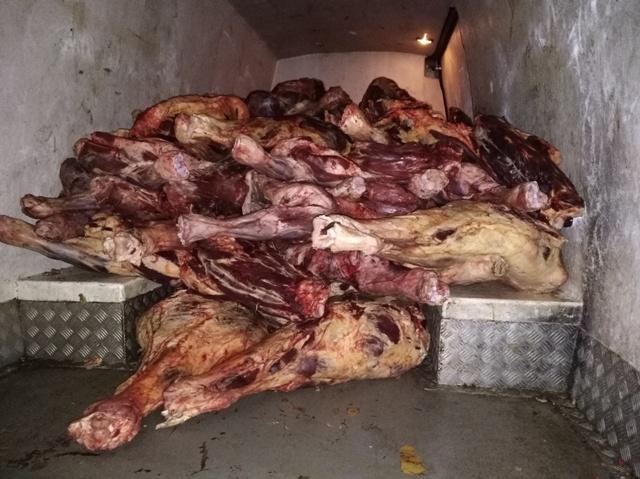 Свыше двух тонн «левой» говядины задержали в Бобруйском районе