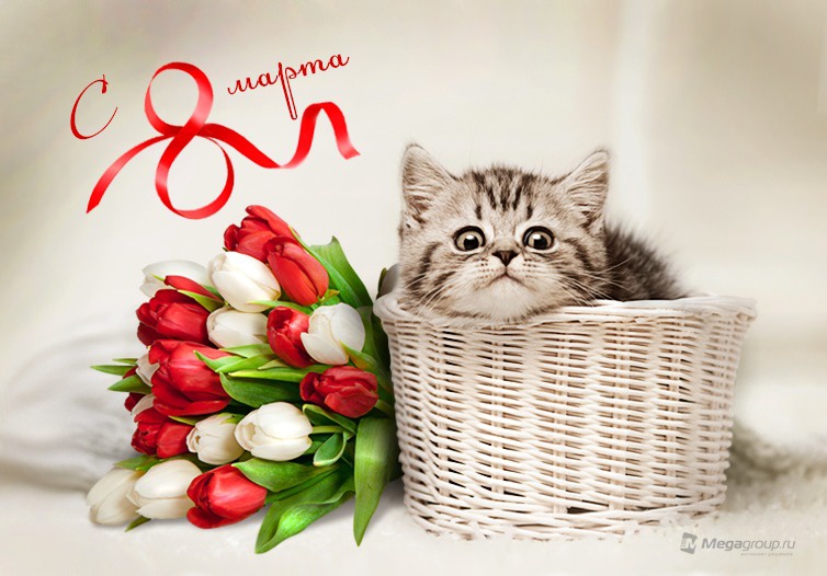 Жители Могилева и Бобруйска смогут бесплатно отправить поздравительную открытку с 5 по 8 марта