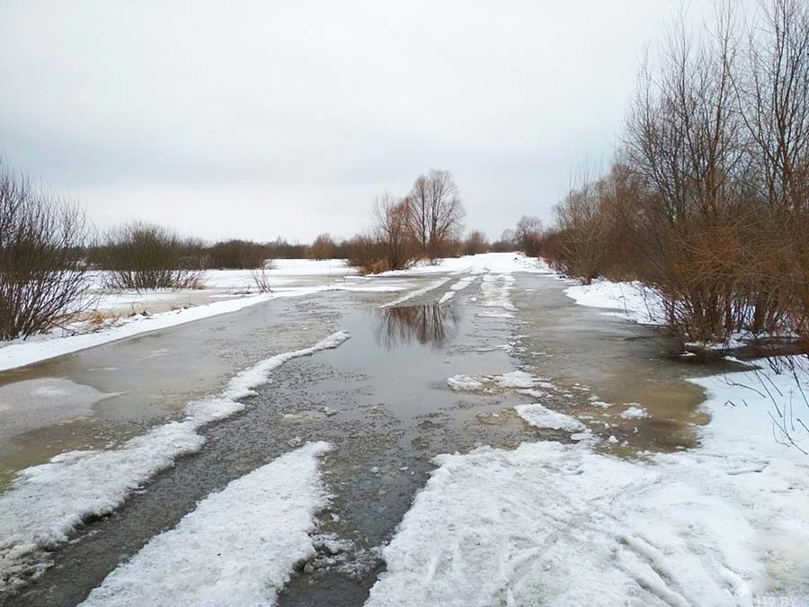 Около 700 частных домовладений Бобруйска могут оказаться в зоне паводка