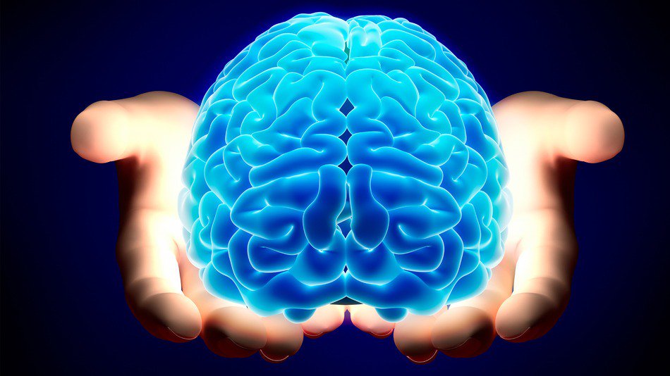 Компания Nectome предлагает заморозить ваш мозг для его оцифровки в будущем
