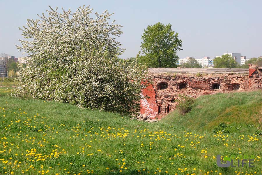Музей камней или лыжероллерная трасса: как преобразится территория Бобруйской крепости?