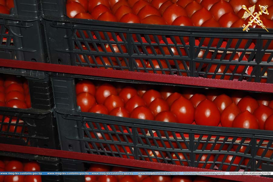 21 тонну турецких помидоров без документов задержала Могилевская таможня