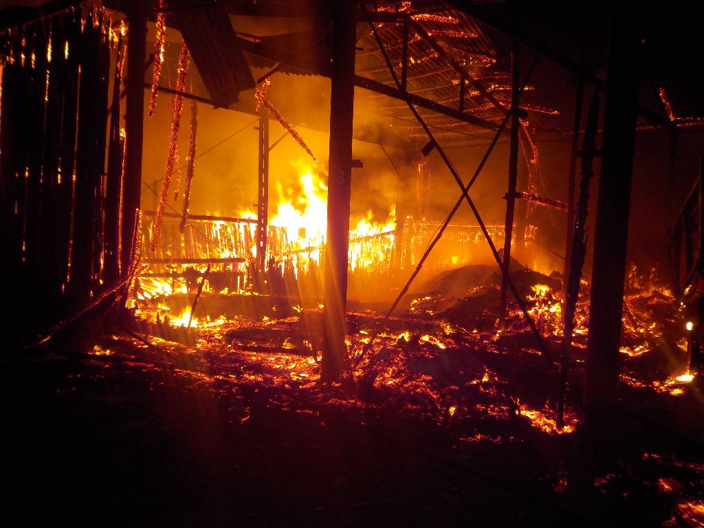 В Бобруйском районе горел фермерский сарай (видео)