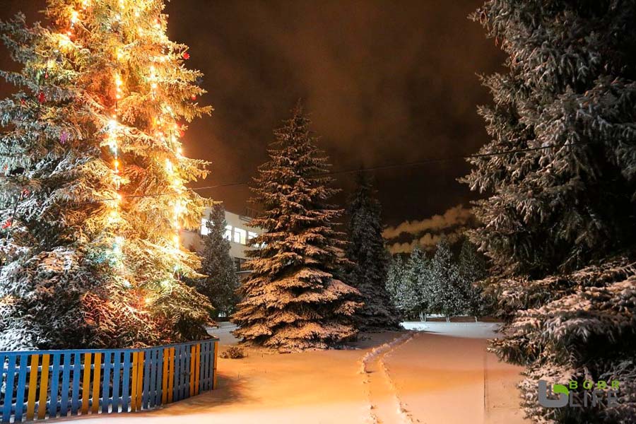 Александр Студнев о новогодней иллюминации: «Все это бобруйчане уже видели»