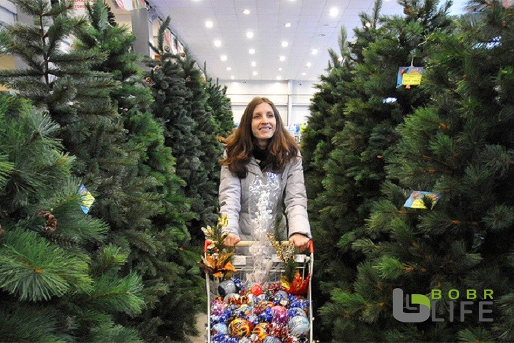 Елочные базары в Бобруйске откроются 16 декабря