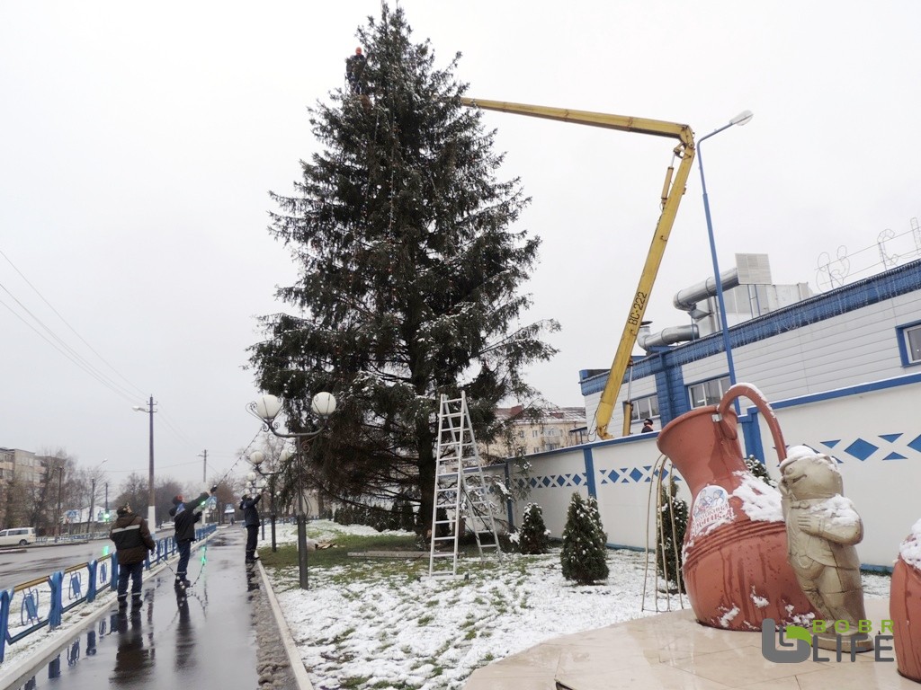 В Бобруйске начали устанавливать елки