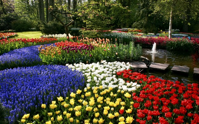 В Бобруйске планируют высадить 500 тысяч цветов