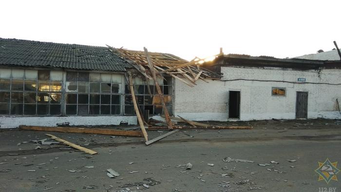 Девять населенных пунктов в Могилевской области пострадали из-за сильного ветра