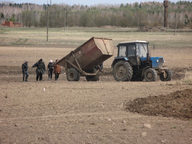 В Бобруйском районе аграрии вышли в поле