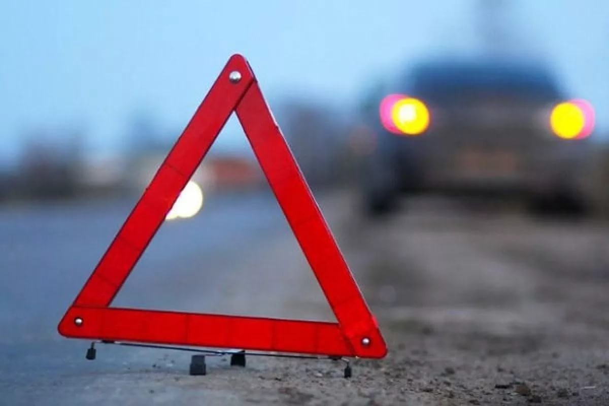 В Кировском районе под колеса Mercedes выскочил лось: два человека и животное погибли