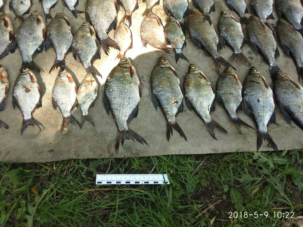 За незаконную ловлю рыбы уже оштрафовали несколько человек. Суммы достигают 7000 рублей