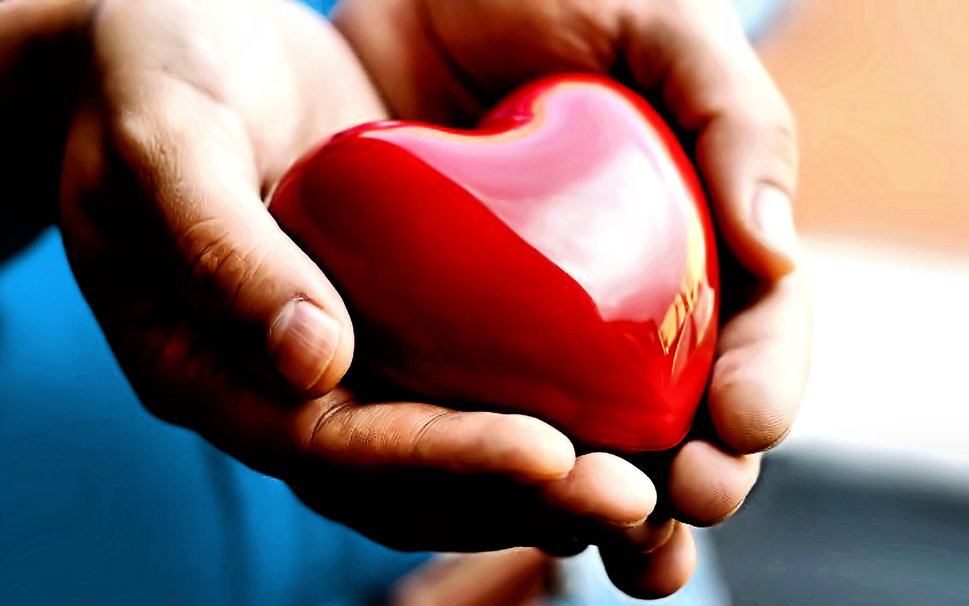 В области от сердечного недуга умирает порядка 58% населения. В Бобруйске прошел межрайонный семинар по кардиологии