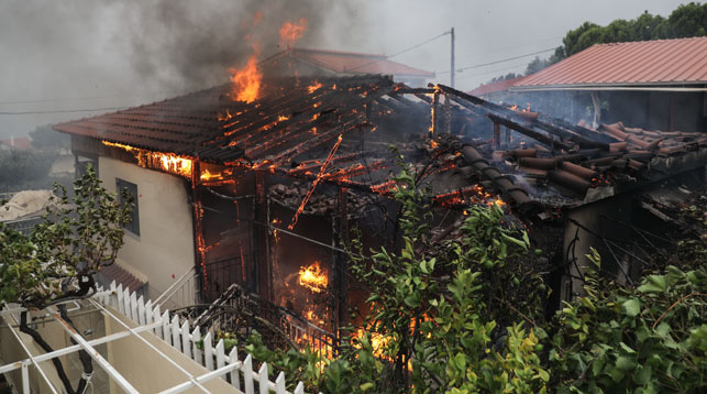 Премьер Греции объявил трехдневный траур по погибшим от лесных пожаров