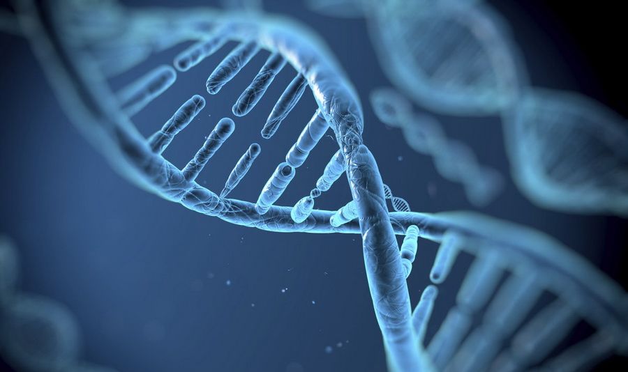 Британские ученые научатся корректировать гены детей