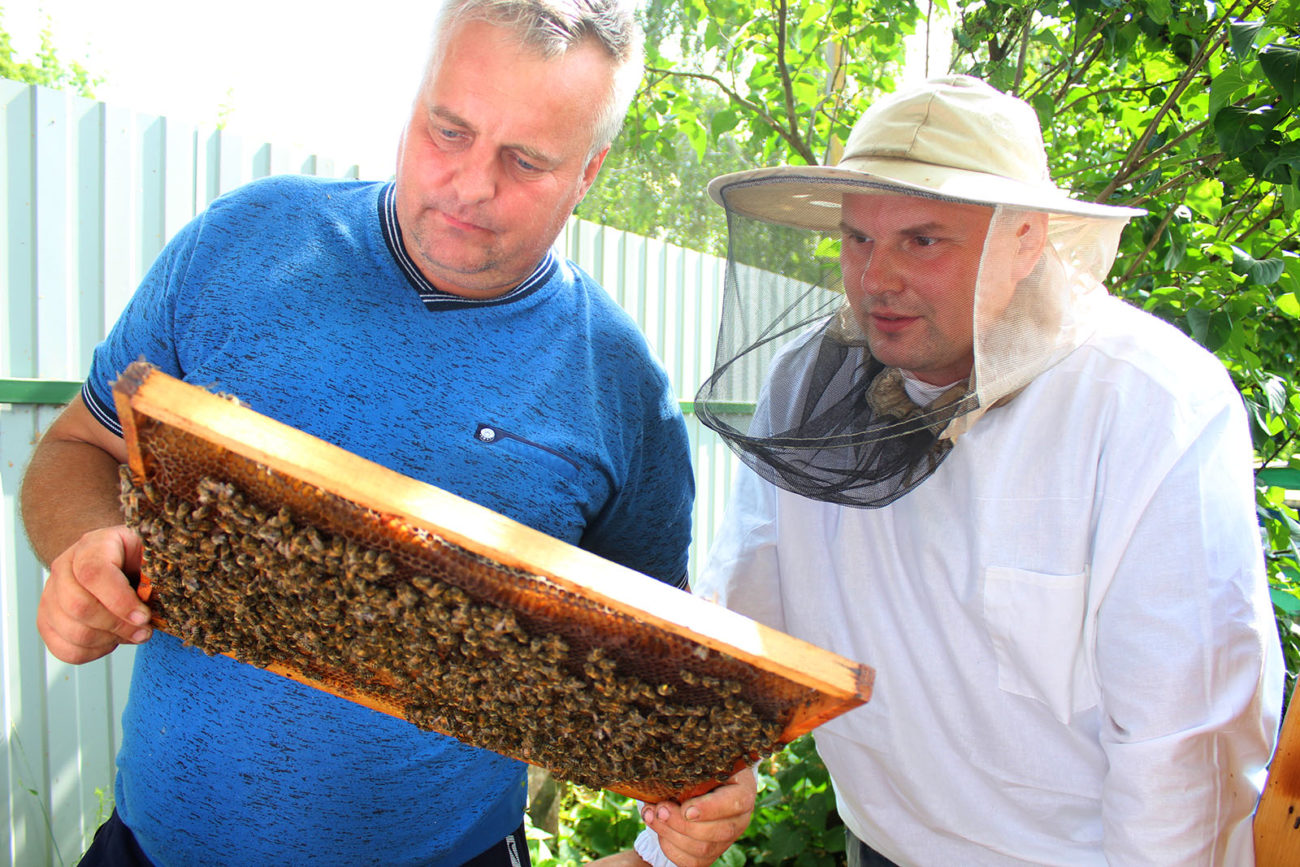 Владельцы почти сотни ульев на двух пасеках: «Мы готовы обучать всех желающих пчеловодству»