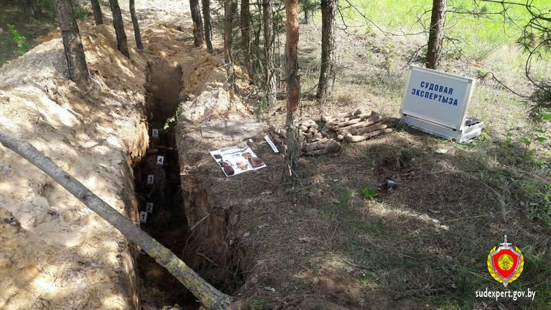 Останки погибших в войну солдат обнаружили в Бобруйском районе