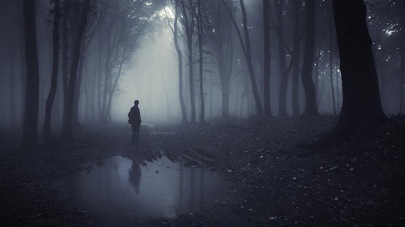 Ночь под открытым небом. В Кировском районе спасатели нашли заблудившегося в лесу мужчину