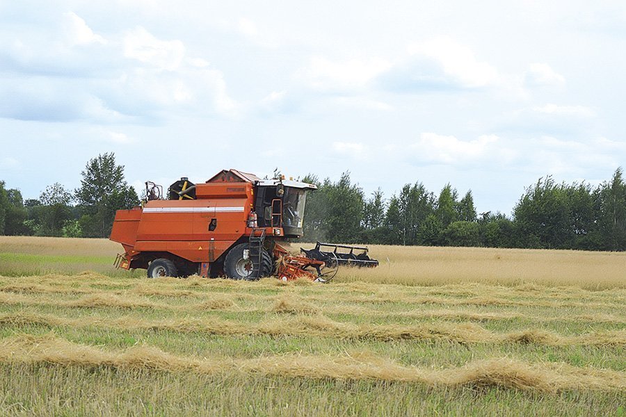Уборка зерновых завершилась в Беларуси
