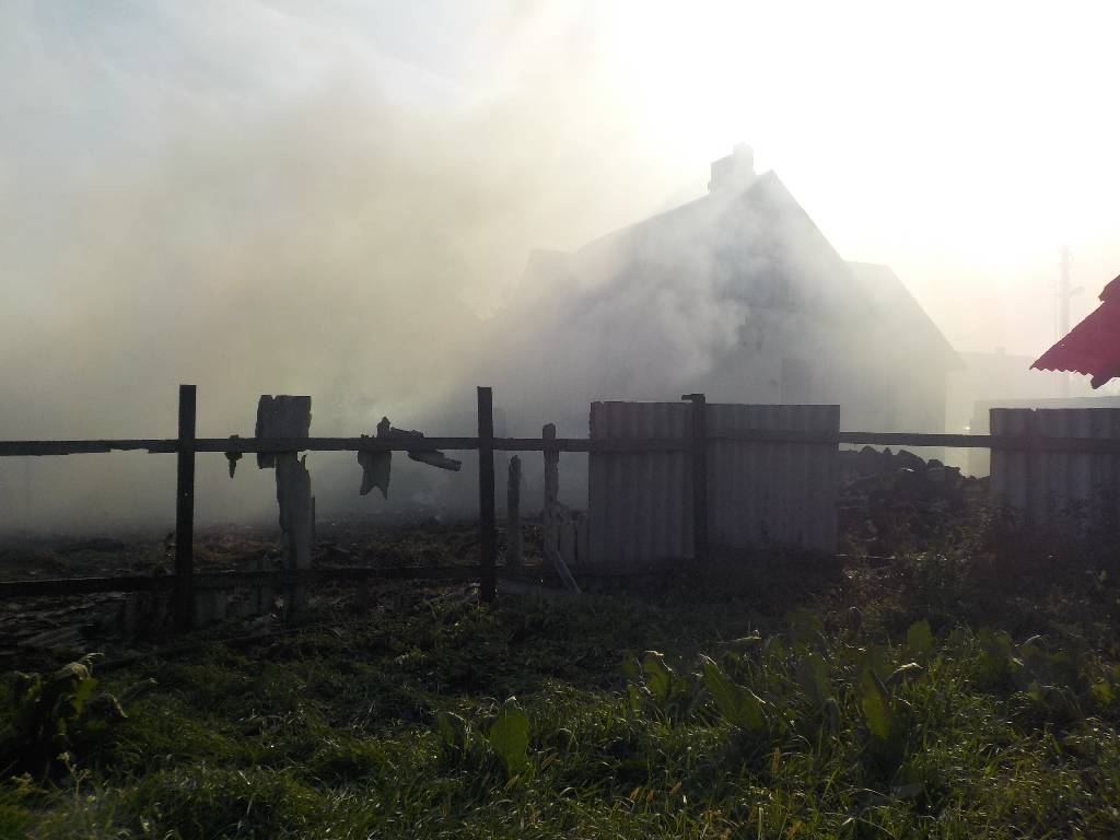 В Бобруйском районе горел сарай. Погибли две свиньи