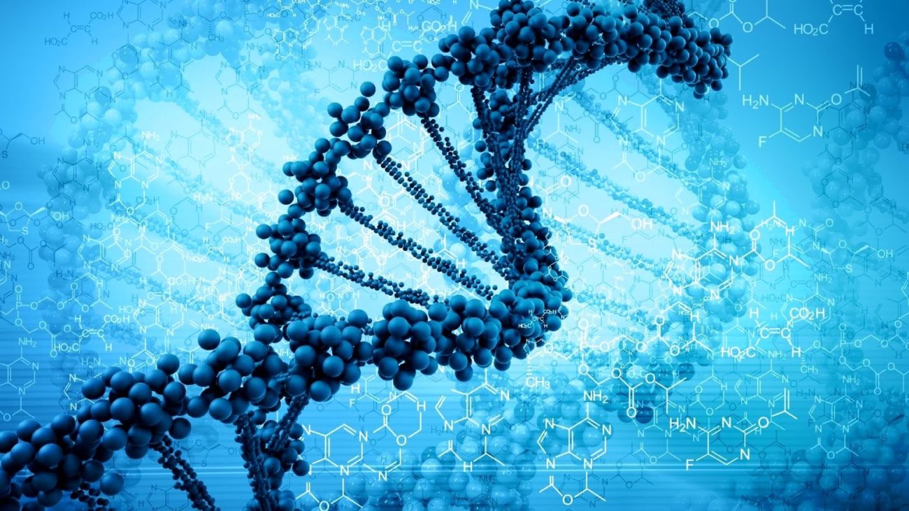 20 процентов человеческого генома оказались бесполезны. Как такое возможно?