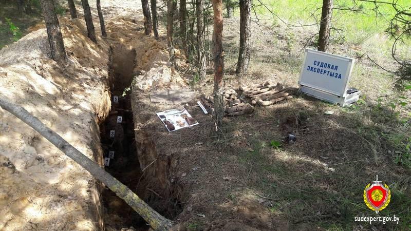 Обнаруженные в Бобруйском районе останки солдат перезахоронят возле деревни Мирадино