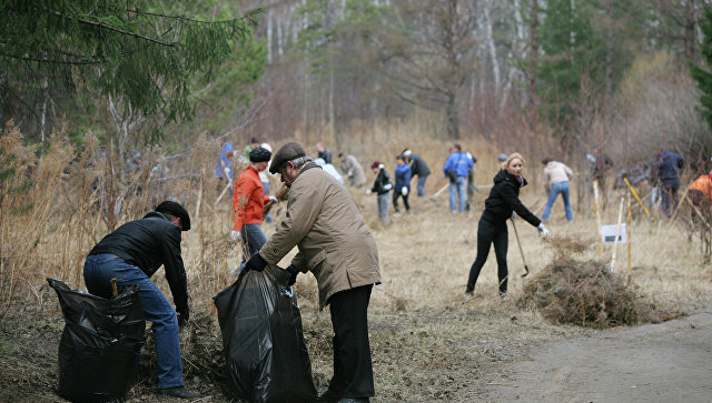 «Чистый лес» — чистая страна. Акция по уборке лесных массивов пройдет в Беларуси 20 октября
