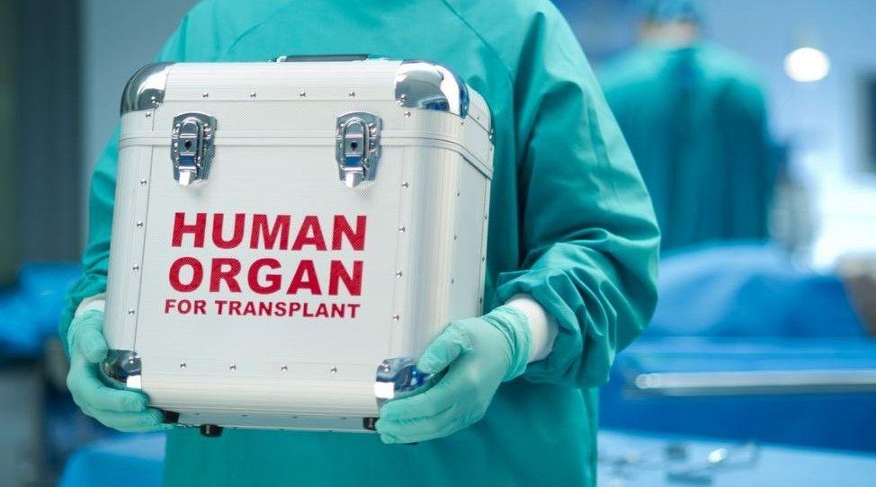 Белорусские депутаты рассмотрят поправки в закон «О трансплантации органов и тканей человека».