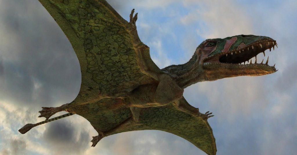 В Великобритании нашли неизвестный вид летающего динозавра