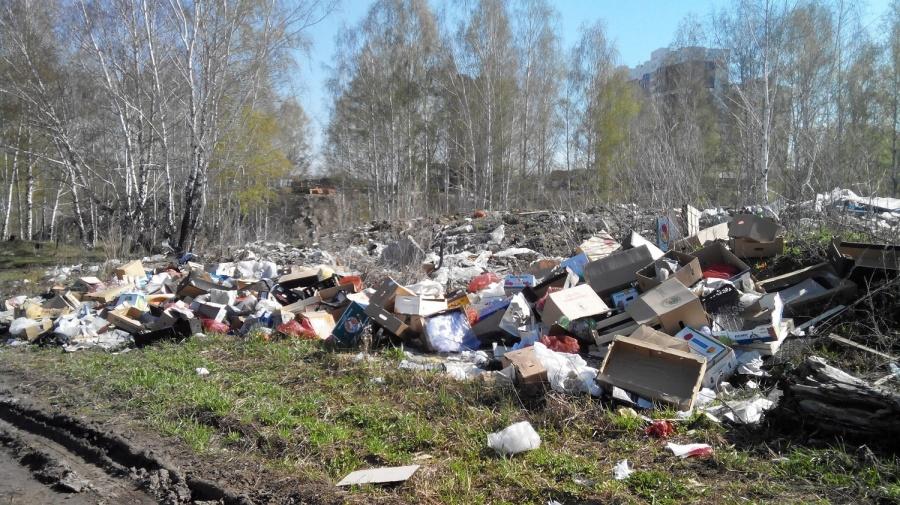Почти 900 несанкционированных свалок ликвидировано в 2018 году в Могилевской области