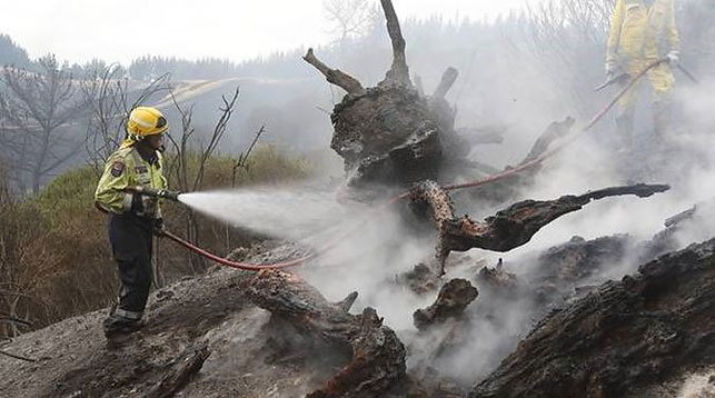 В Новой Зеландии из-за лесных пожаров эвакуированы более 400 человек