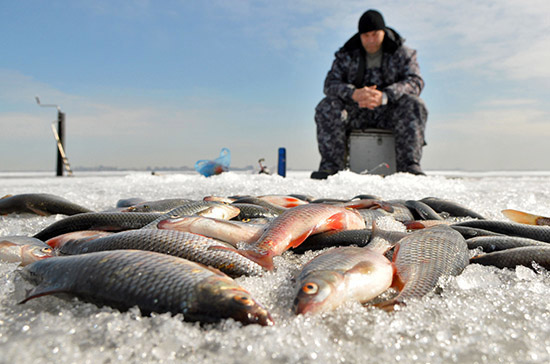 Два запрета для рыбаков-любителей продолжают действовать на территории Могилевской области
