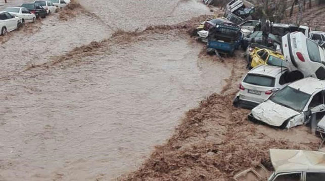 Из-за наводнения в Иране погибли 11 человек