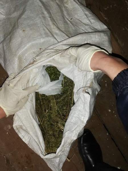 Житель Осиповичей хранил дома почти килограмм марихуаны. Правоохранителям сказал «для себя»