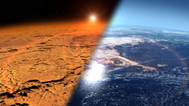Результаты эксперимента на МКС показали, что жизнь на Марсе возможна