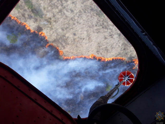 Спасатели в Столинском районе ликвидируют крупный пожар в экосистеме (видео)
