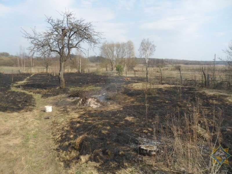 В Жлобинском районе пожилые супруги палили траву. Дедушка погиб