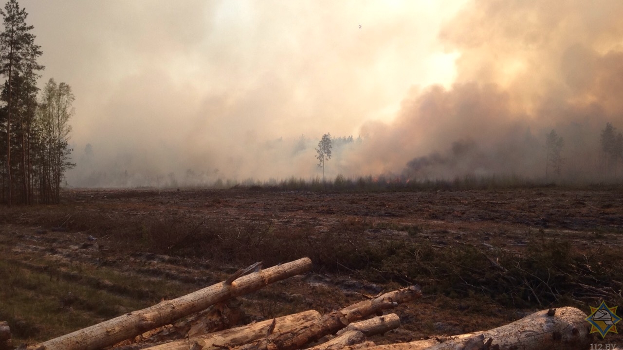 Пожар в Наровлянском районе: более 300 гектаров леса выгорело за сутки