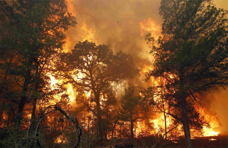 В Китае из-за лесного пожара эвакуированы более 11 тысяч человек
