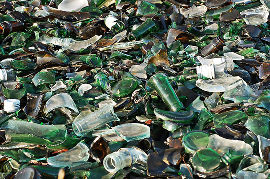 Бобруйские природозащитники рассказывают о важности сортировки отходов стекла