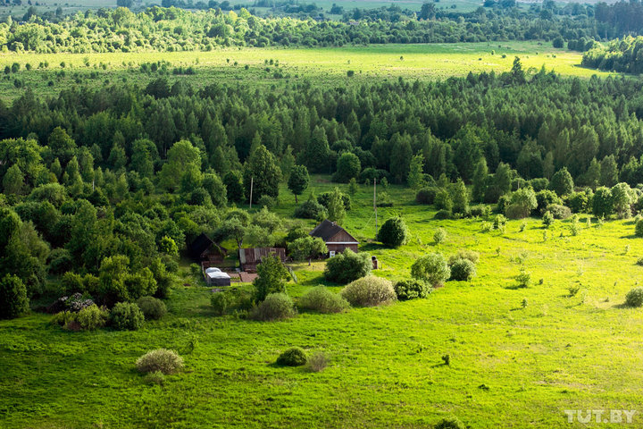 Запрет на посещение лесов снят в 32 районах Беларуси